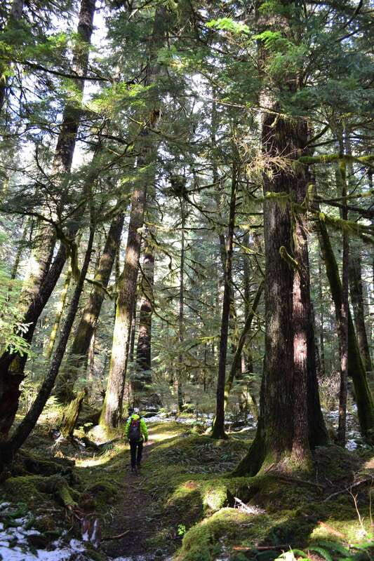 Cape Scott: San Josef Bay Day Hike with Scenic Drive - San Josef Bay is worth the road time