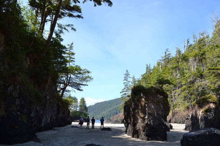 Cape Scott: San Josef Bay Day Hike with Scenic Drive - Walking through old-growth forest
