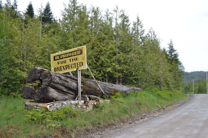 Cape Scott: San Josef Bay Day Hike with Scenic Drive - Wildlife watching without false promises