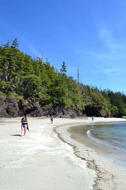 Cape Scott: San Josef Bay Day Hike with Scenic Drive - A guide who shapes the day