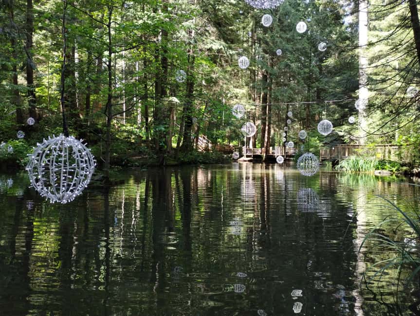 Capilano Br+Grouse Mtn+Dam+Lake&Hatcher/5in1/Small Group/Car - Practical booking advice