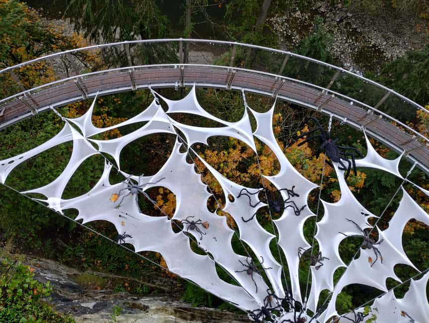 Capilano Suspension Br+Lake+Dam+Hachery/4in1/CAR/Small GROUP - Key points to know before booking
