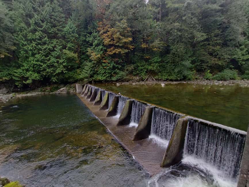 Capilano Suspension Br+Lake+Dam+Hachery/4in1/CAR/Small GROUP - What the five-hour schedule feels like