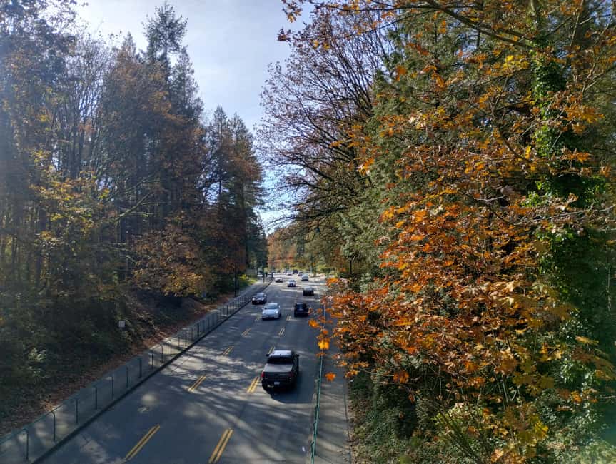 Capilano Suspension Br+Lake+Dam+Hachery/4in1/CAR/Small GROUP - The $201 value