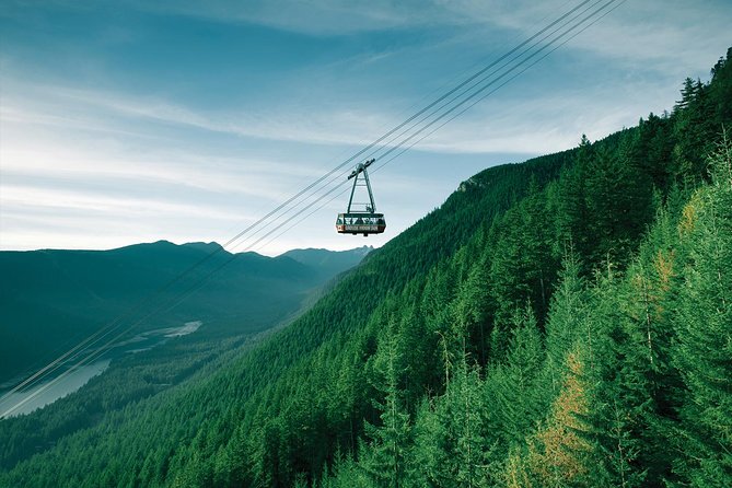 Capilano Suspension Bridge + Grouse Mountain Tour - Capilano Suspension Bridge Park: more than a single crossing
