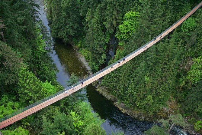 Capilano Suspension Bridge + Grouse Mountain Tour - Is $200.38 a fair price?