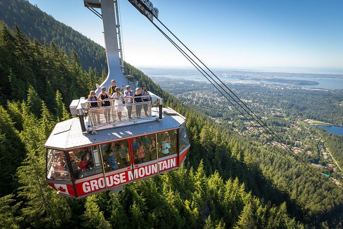 Capilano Suspension Bridge + Grouse Mountain Tour - Capilano Salmon Hatchery: a useful 40-minute stop