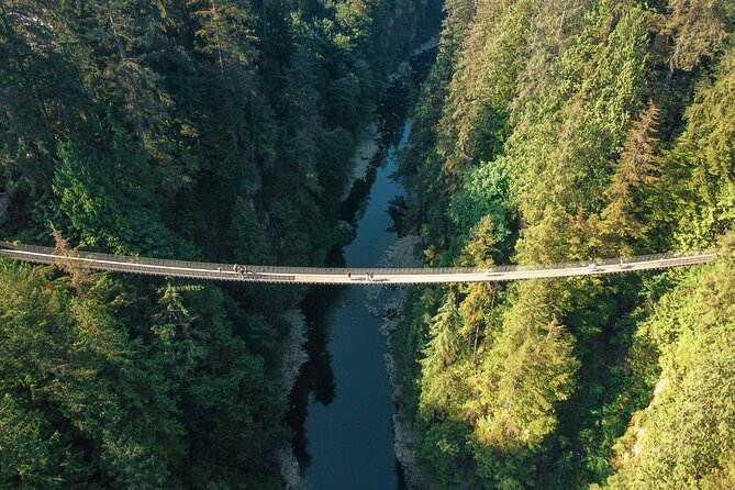 Capilano Suspension Bridge Park Ticket - Treetops Adventure among the cedar trees