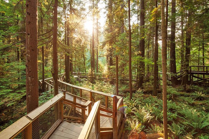 Capilano Suspension Bridge Park Ticket - Forest paths, food, and shopping