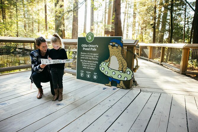 Capilano Suspension Bridge Park Ticket - Visiting during Canyon Lights and seasonal events