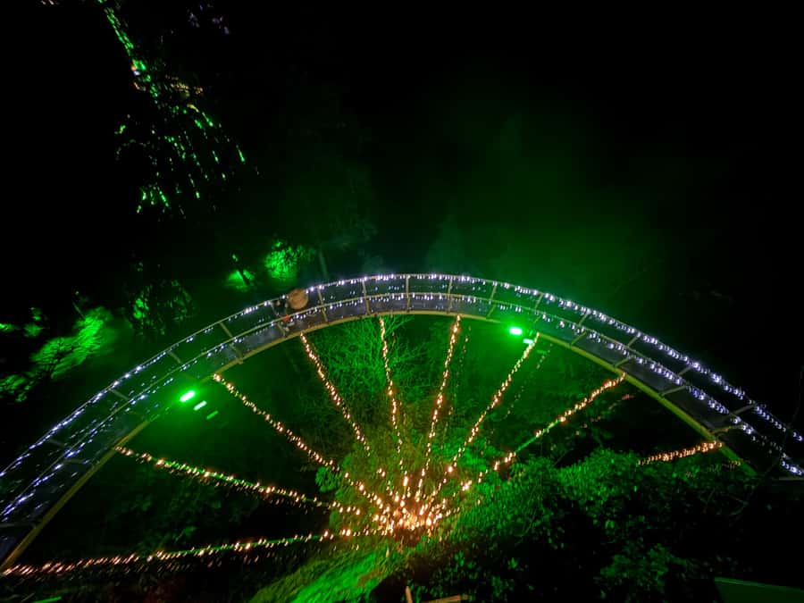 Capilano Suspension Bridge/Private/Small Group/By LUX CAR - Key points to know before booking