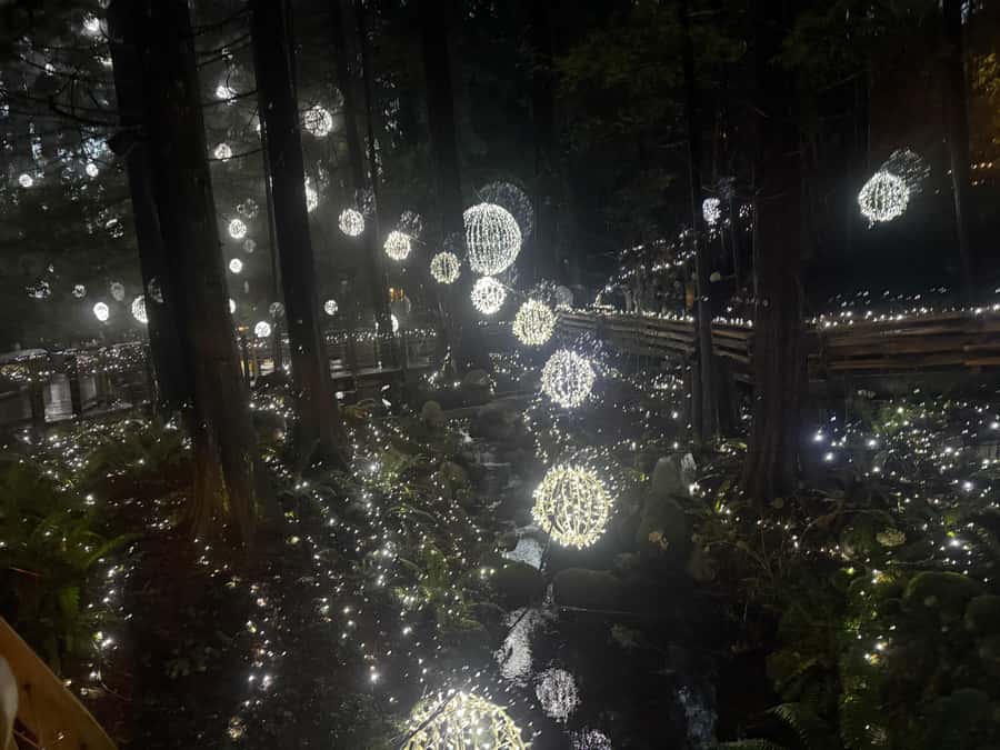 Capilano Suspension Bridge/Private/Small Group/By LUX CAR - A private-car route through Vancouver’s essential sights