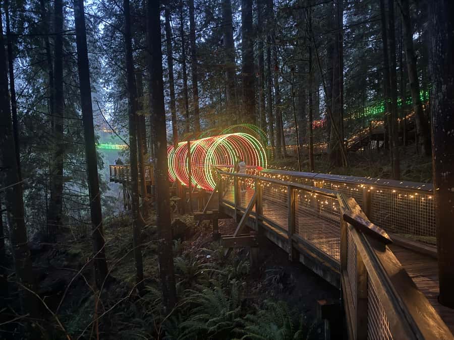 Capilano Suspension Bridge/Private/Small Group/By LUX CAR - Treetops Adventure puts you above the forest floor