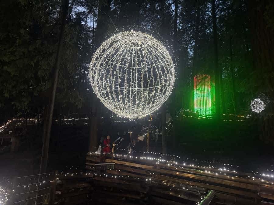 Capilano Suspension Bridge/Private/Small Group/By LUX CAR - Cliffwalk adds granite, height, and narrower paths