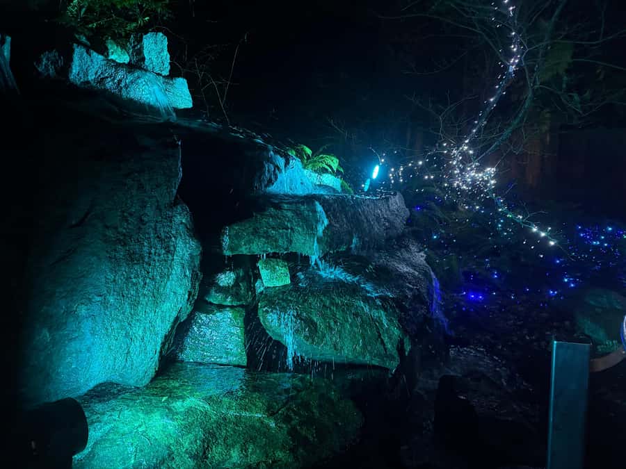Capilano Suspension Bridge/Private/Small Group/By LUX CAR - Kia’palano and the park’s cultural side