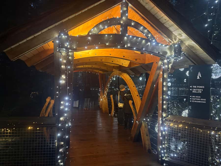 Capilano Suspension Bridge/Private/Small Group/By LUX CAR - Story Centre, Trading Post, Eagle Eye, and Raptors Point