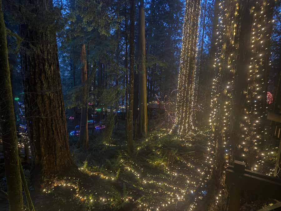 Capilano Suspension Bridge/Private/Small Group/By LUX CAR - Guides and the personal touch