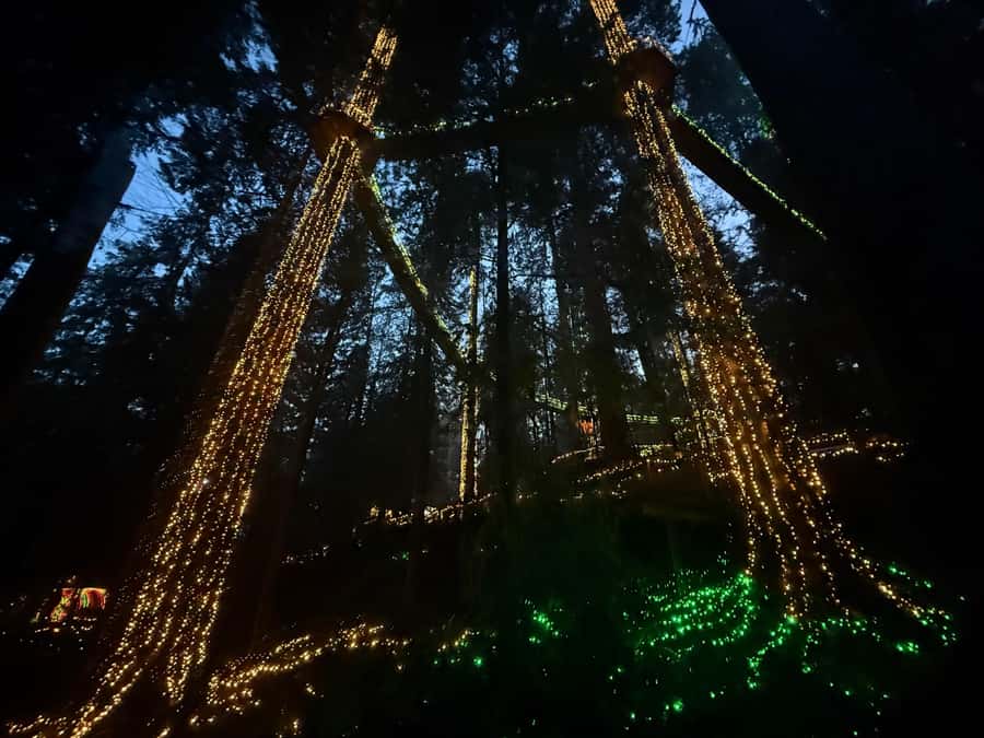 Capilano Suspension Bridge/Private/Small Group/By LUX CAR - What the private and small-group setup changes