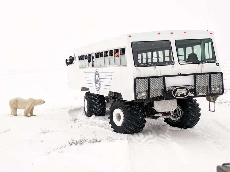 Churchill: Exclusive Tundra Buggy Day Trip - Rolling into Churchill’s Wildlife Management Area