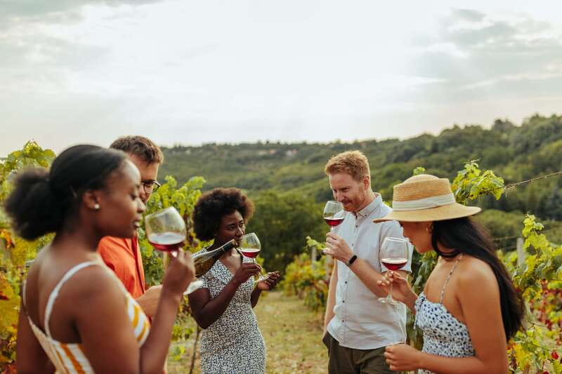 Collingwood: Blue Mountains Wine and Cider Tasting Tour - The Roost Winery: wine with a personal touch