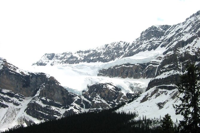 Columbia Icefield Glacier Adventure Day Tour from Calgary/ Banff - How much value do you get for CAD $104.33?