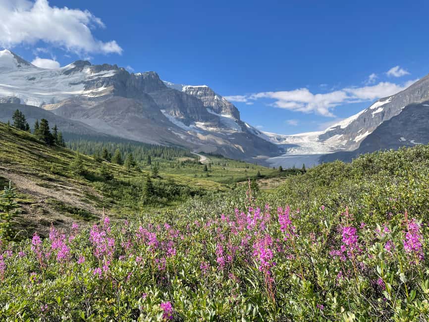 Columbia Icefield: Guided Glacier Hike - The 5-kilometer route onto the ice