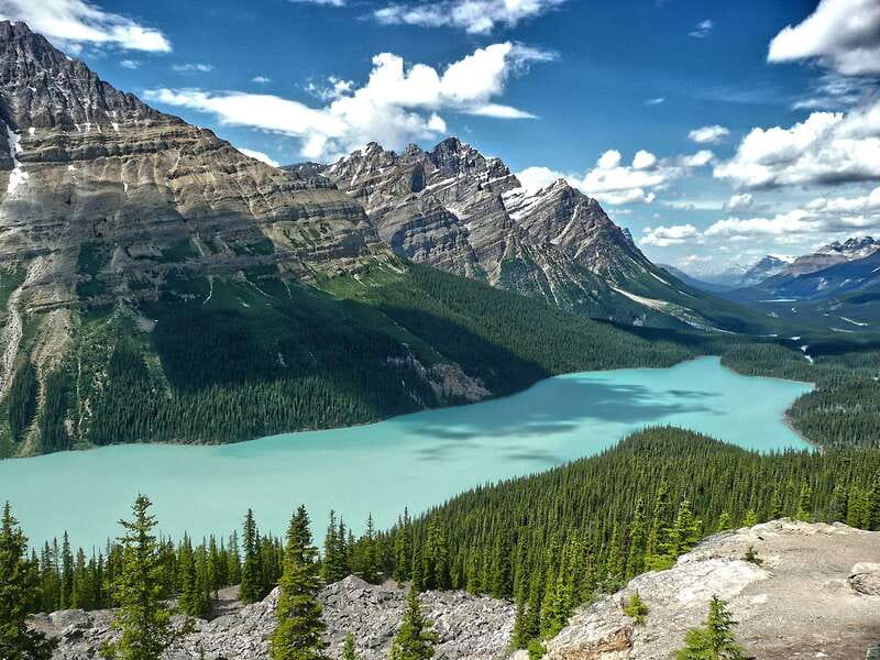 Columbia Icefield, Peyto Lake, Bow Lake Discovery Tour - Key points to know before you book