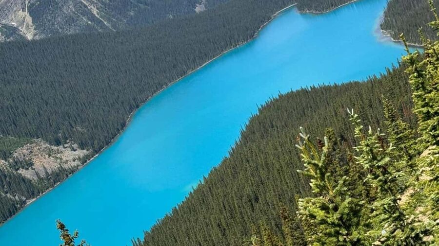 Columbia Icefield, Skywalk, Crowfoot Glacier, and Lakes Tour - The Columbia Icefield and Athabasca Glacier