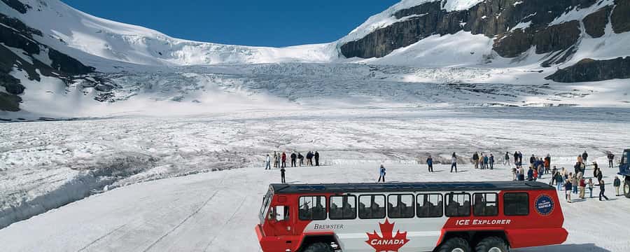 Columbia icefield, Skywalk, Waterfowl, Bow & Peyto Lake Tour - A full day on the Icefields Parkway