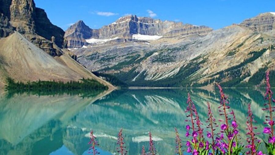Columbia icefield, Skywalk, Waterfowl, Bow & Peyto Lake Tour - Bow Lake, Glacier Lake, and Waterfowl Lake
