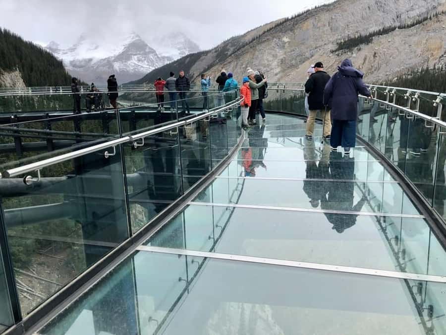 Columbia icefield, Skywalk, Waterfowl, Bow & Peyto Lake Tour - What the $57 price really covers