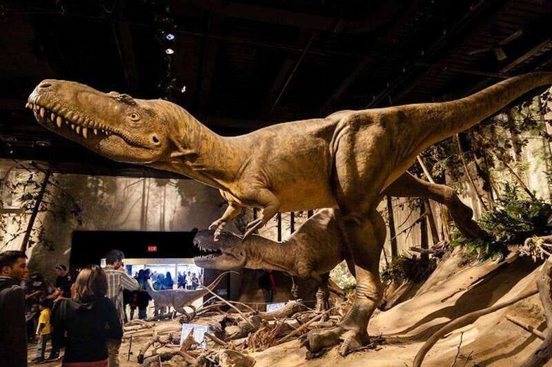 Day of Dinosaurs and Hoodoos From Calgary to the Badlands - Horseshoe Canyon in 40 minutes