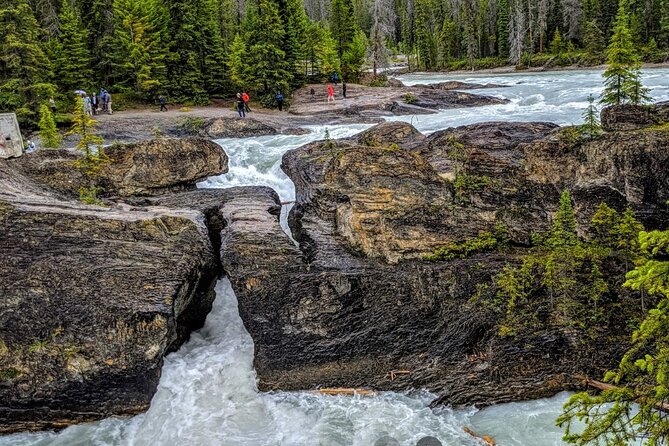 Day Trip: Lake Louise, Moraine Lake, Emerald Lake, Banff - Natural Bridge and the Kicking Horse River