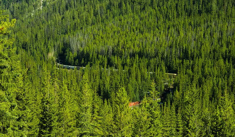 Deep Day Tour to Emerald, Moraine, Louise Lake, J. Canyon... - Lake Louise Village: a practical lunch break
