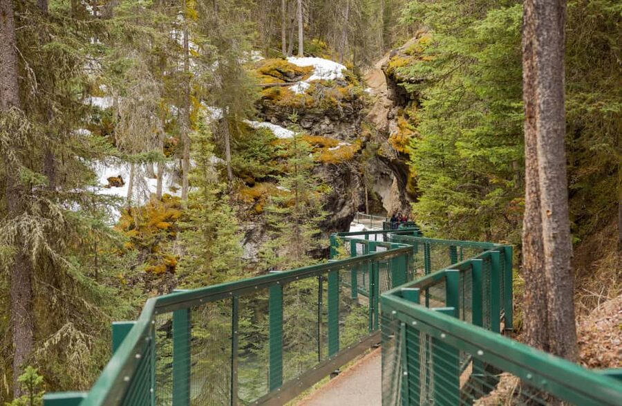 Deep Day Tour to Peyto, Moraine, Louise Lakes, J. Canyon... - Vermilion Lakes finish the scenic route