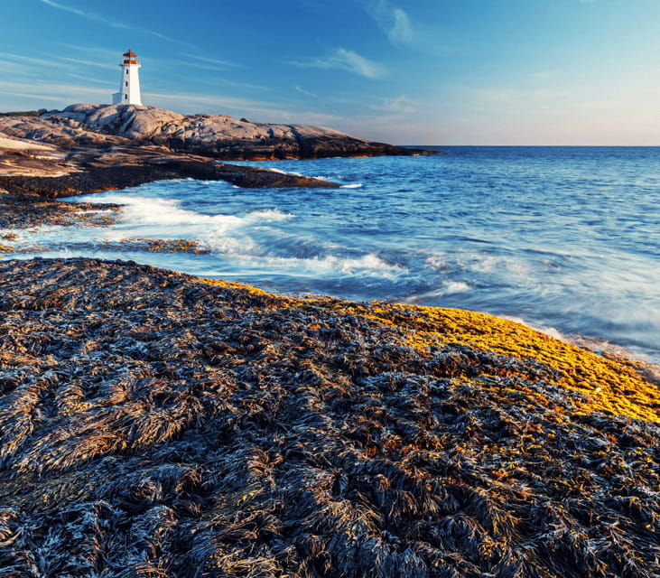 Discover Peggy's Cove: Private Journey from Halifax - Shops, galleries, and time to wander