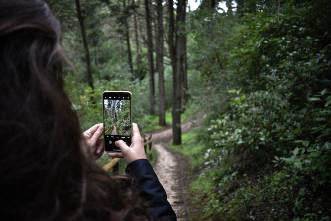 Discover the Lake Agnes Tea House Trail with an Audio Nature Tour - Banff National Park beyond the postcard view