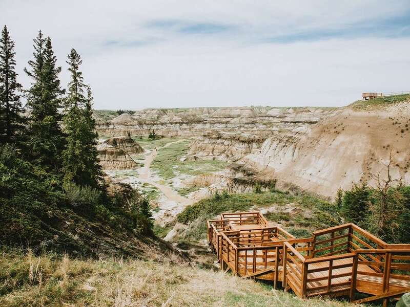 Drumheller: Bad Land & Dinosaur Museum Tour from Calgary - How the day balances museum time and outdoor stops