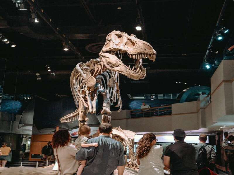 Drumheller: Bad Land & Dinosaur Museum Tour from Calgary - Transportation, timing, and practical value