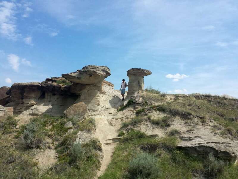 Drumheller: Bad Land & Dinosaur Museum Tour from Calgary - Who will get the most from this Drumheller trip