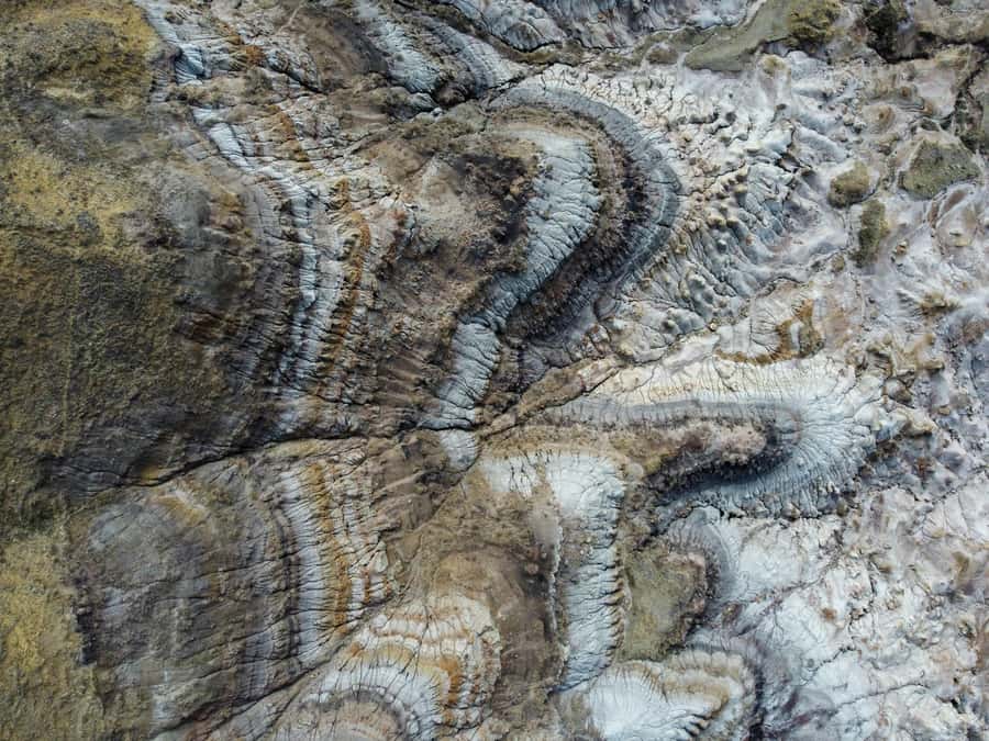Drumheller: Dinosaurs, Canyons, & Hoodoos Day Tour - Guides, language, and the feel of the day