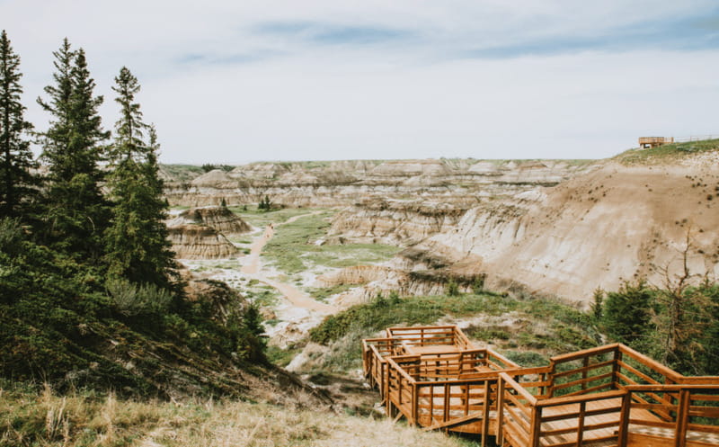 Drumheller: Dinosaurs, Canyons, & Hoodoos Day Tour - Who should book this Drumheller tour?