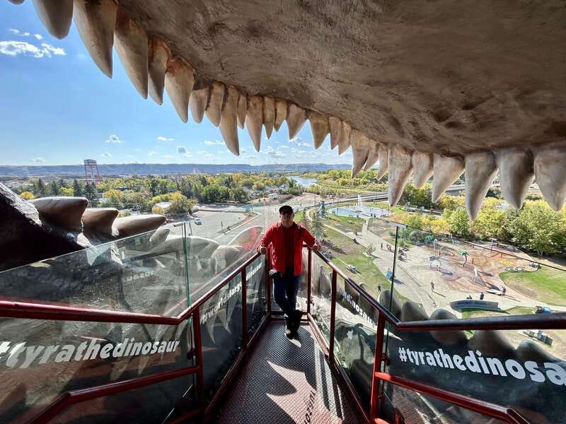 Drumheller Full-day Private Sightseeing Tour - The Road Into Drumheller