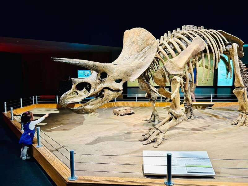 Drumheller Full-day Private Sightseeing Tour - Walking the Hoodoos Trail