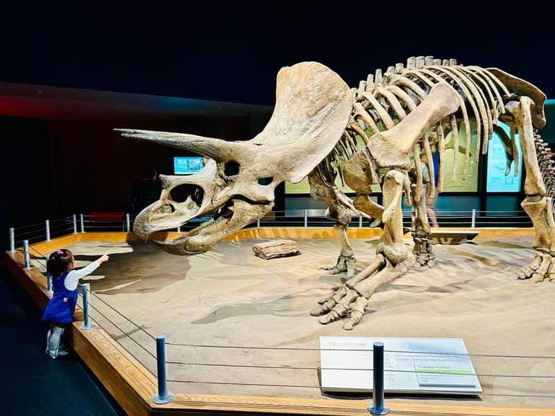 Drumheller Full-day Private Sightseeing Tour - The Private Guide Question
