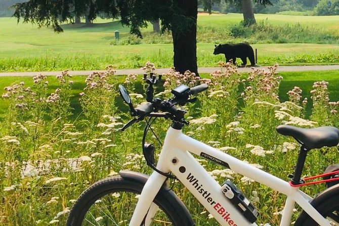 eBike Adventure in Whistler - Key points to know before you pedal away