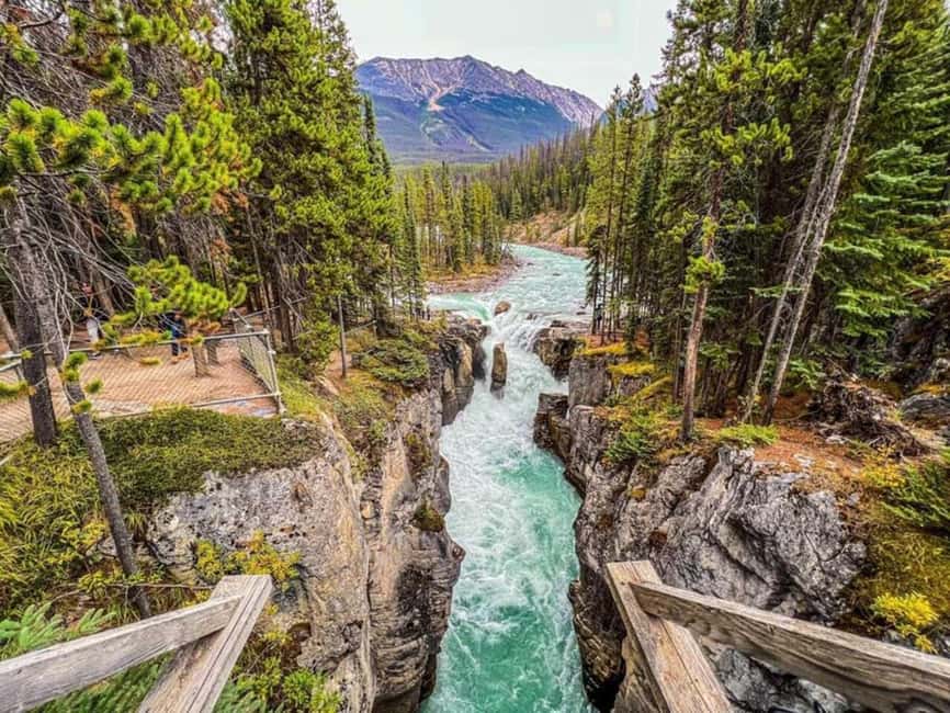 Emerald Lake, Lake Louise, Johnston Lake & Banff Gondola - Key points to know before you go