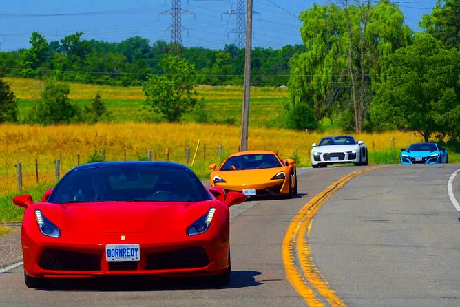 Exotic or Supercar Test Drive on Hamilton Mountain - Thirty minutes on the escarpment roads