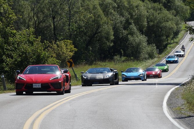 Exotic or Supercar Test Drive on Hamilton Mountain - How this compares with ordinary sightseeing