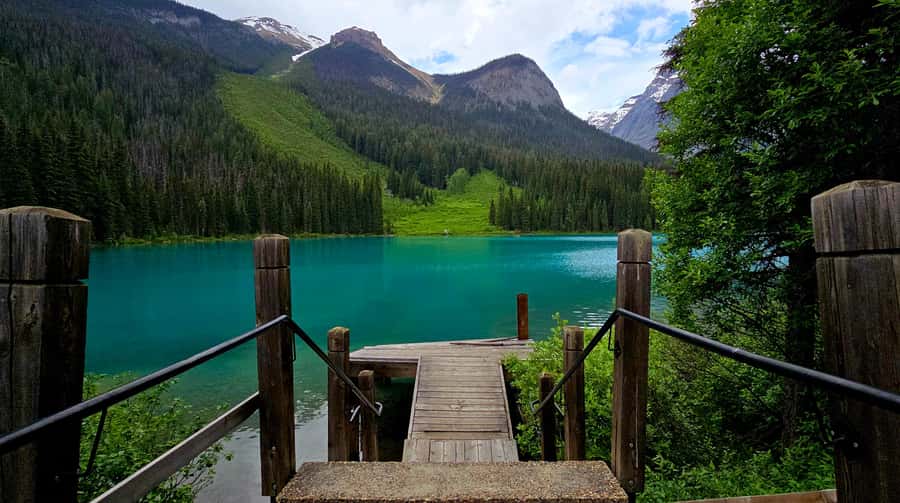 Explore 9 Iconic Banff Spots in 1 Epic Day!(Pax 12/Group) - Bow Lake, Peyto Lake, and Crowfoot Glacier